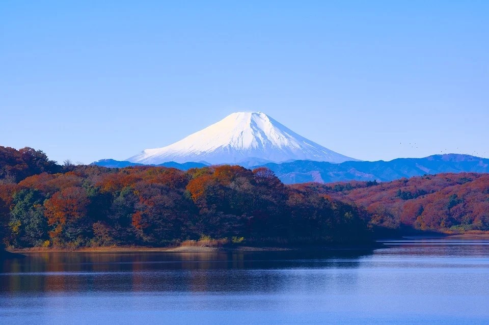 日本商標注冊